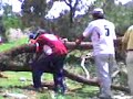 ISHUA- 3era YUNSA 2008 cargando el arbol