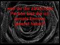 Rapsoul sonnenschein