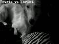Borzoi video