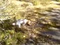 Filip runs to the edge of Heia on a beautiful day!