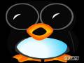 montagem do pica pau 09.wmv