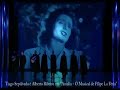 filmado em 2004 no teatro politeama, lisboa, portugal.
musical de filipe la f�ria baseado na hist�ria da fadista amalia rodrigues, de pav�o dos santos, este continua a ser o musical mais visto at� hoje em portugal, com mais de 2 milh�es de espectadores nos 4 anos que esteve em cena em portugal, fran�a e sui�a.