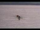 Prince Willam Sound Kayaking