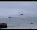 Royal Navy Black Cats