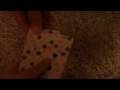 David Blaine Magic Card Trick David Blaine Magic Card Trick