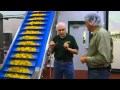 Tour of a 'green' tortilla chip manufacturing plant