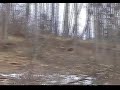 Missed shots