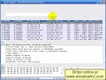 Wireshark WSU01 DVD Sample - Part 2 Wireshark WSU01 DVD Sample - Part 2
