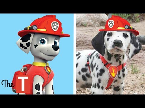 10 PAW PATROL Dogs In Real Life