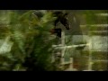 ~Conelly~    Meter 1.35 Jumper