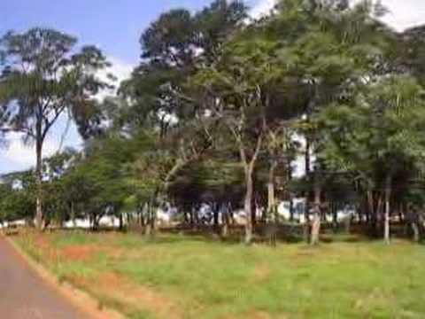 Imagem de Amostra do You Tube