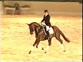 Dimaggio at Verden as a 5 year old (2000), ridden by his owner Suzanne Lavandera (nee Davies). He won the World Breeding Championship in the same year. He returned to the UK from Germany in 2008 and stands at the UK Hanoverian Stud in West Sussex. For more information visit www.uk-hanoverians.co.uk
