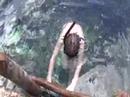 Kenny jumps from Cenote Kenny jumps from Cenote