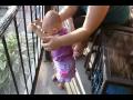Another video of my bestfriend's daughter, Nacera. This time, she's enjoying a warm summer day. And wanting my shirt. Haha. Looks like she's dancing at the beggining of the video.