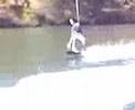 Wakeboarding