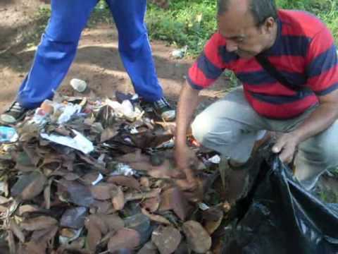 ABONOS ORGANICOS