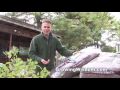Learning About Mulch