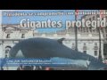 SANTUARIO DE BALLENAS