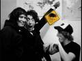 tales of girls boys and marsupial