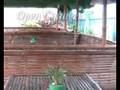 DREAM WAVE RESORT-Bocaue, Bulacan