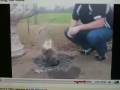 videos de Atheists' Ritualistic Religious Book Burners
