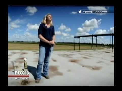 YouTube Video Placeholder