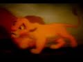 Mufasa\