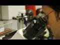 Creating Jobs & Finding Cures: The Recovery Act at Work