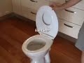 Lupi Lu Dual Toilet Seat