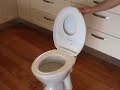 Lupi Lu Dual Toilet Seat