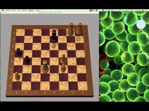 chess computer