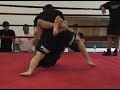 Victor Vs BJJ Opponent