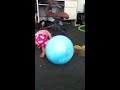 Click here to watch this video Crazy baby!