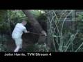 TVN chopping down a tree!