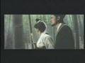 Bamboo Forest Scene - A Touch of Zen - Flixster Video