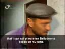 Crazy Grower (remixed & subtitled)