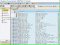 SAP BW 7.0 Load hierarchies from R/3