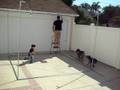 videos de sukkot