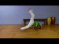 Advanced Capoeira Moves : How To Do A Meia Lua Queda de Rins
