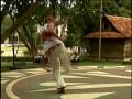 videos de capoeira golpes mortal martial arts