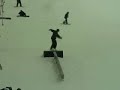 dec 2006 snowblade edit x scape