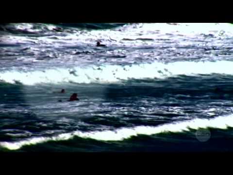 Bondi Rescue Season 7 Episode 8 Part 2/2