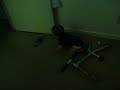 Piro crawling with kids.