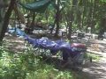 illegal-aliens-in-hampton-bays.html
