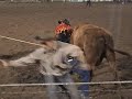 Rodeo- Cow Milking- Strawberry Days