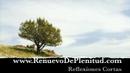 Foto v�deo