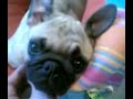 LA CARITA DE PARIS���