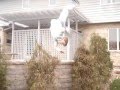 Backflips 2