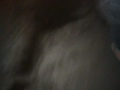 Protestors Tear Gassed! Raw footage - gnooze tear ...