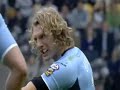 Rugby Fights